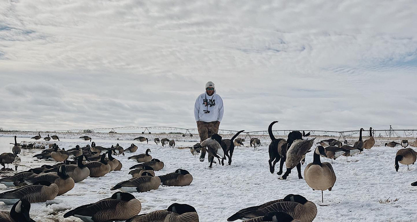 Snow Goose Collection